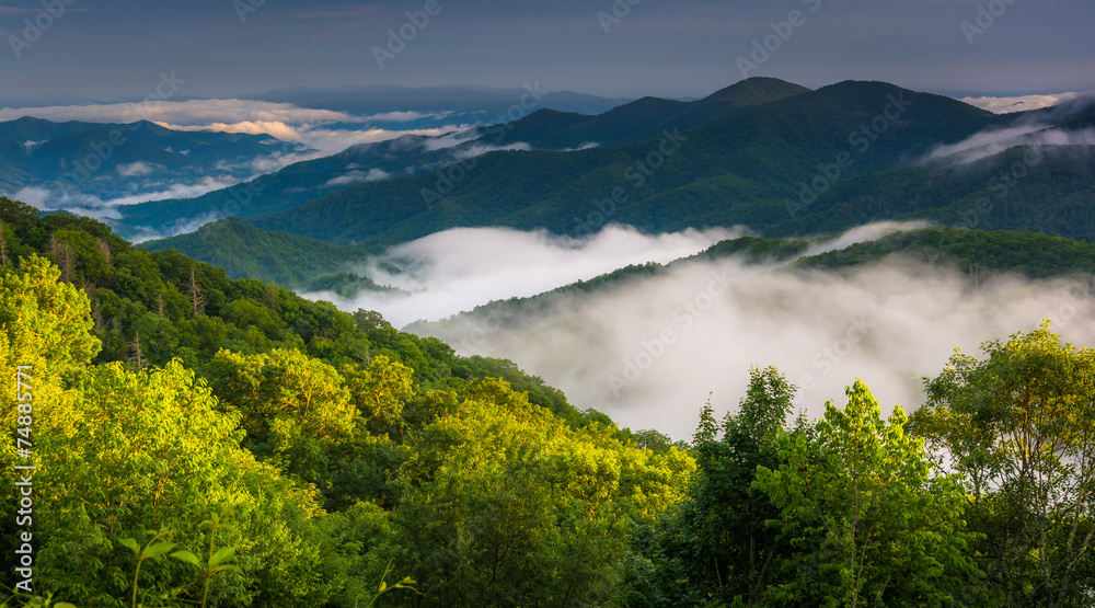 Low clouds in a valley, seen from Newfound Gap Road in Great Smo
