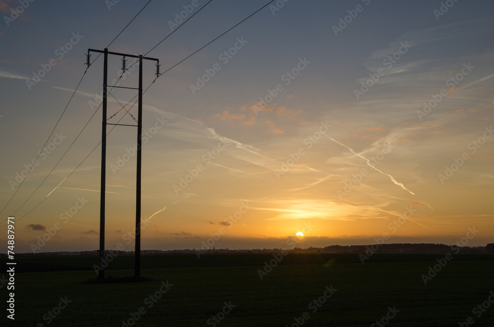 Electricity distribution lines