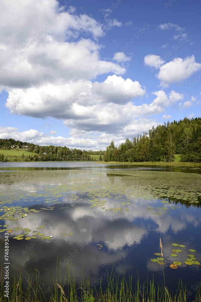 Fototapeta premium Swedish Lake
