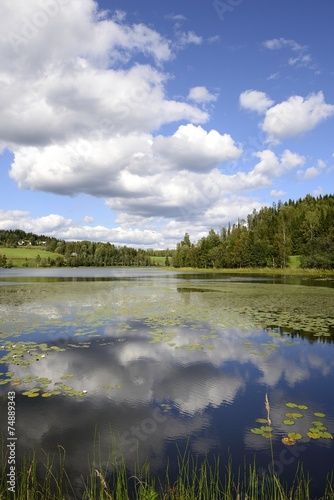 Swedish Lake