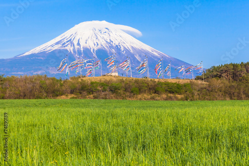 Colorful carp banners and Mount Fuji