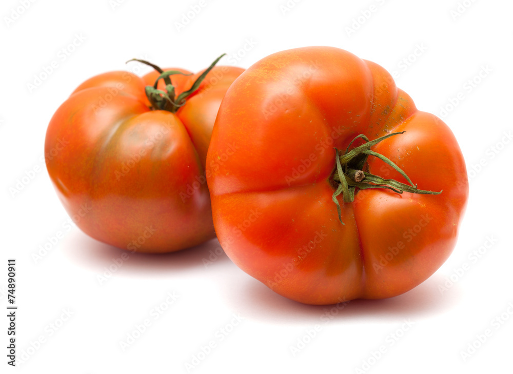 large tomatoes large tomatoes