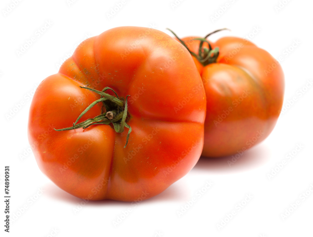 large tomatoes large tomatoes