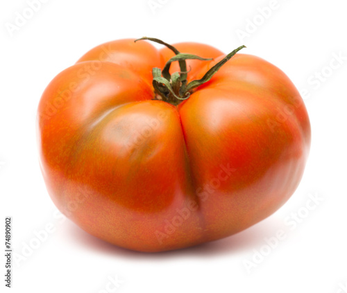 large tomatoes