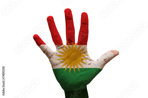 Bild auf Leinwand palm flag kurdistan