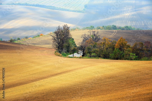 Morawy, krajobraz wiejski, uprawa pól photo
