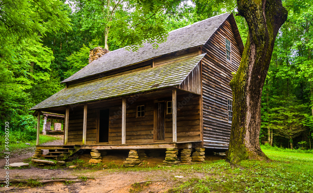 The Henry Whitehead Cabin, at Cade's Cove, Great Smoky Mountains The Henry Whitehead Cabin, at Cade's Cove, Great Smoky Mountains