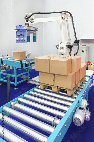 Robotic palletizer photo