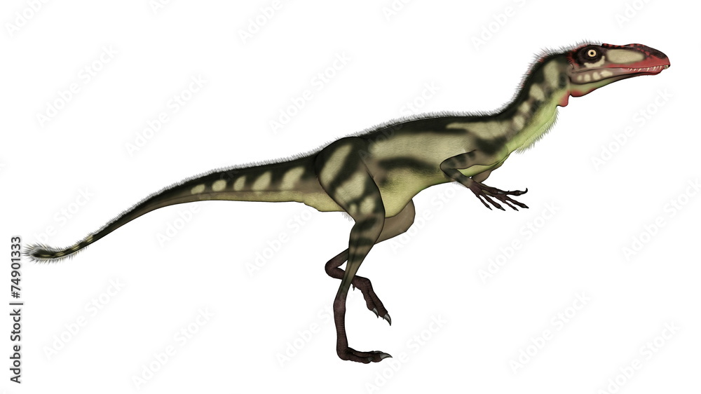 Dilong dinosaur walking - 3D render Dilong dinosaur walking - 3D render