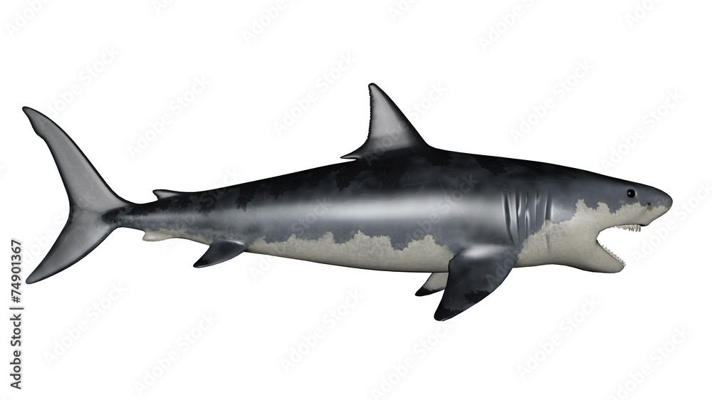 Naklejka premium Megalodon dinosaur - 3D render