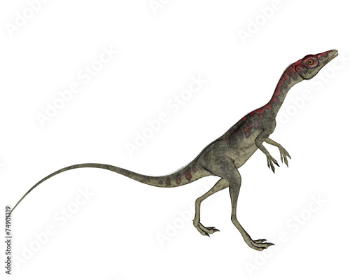 Compsognathus dinosaur walking - 3D render © Elenarts
