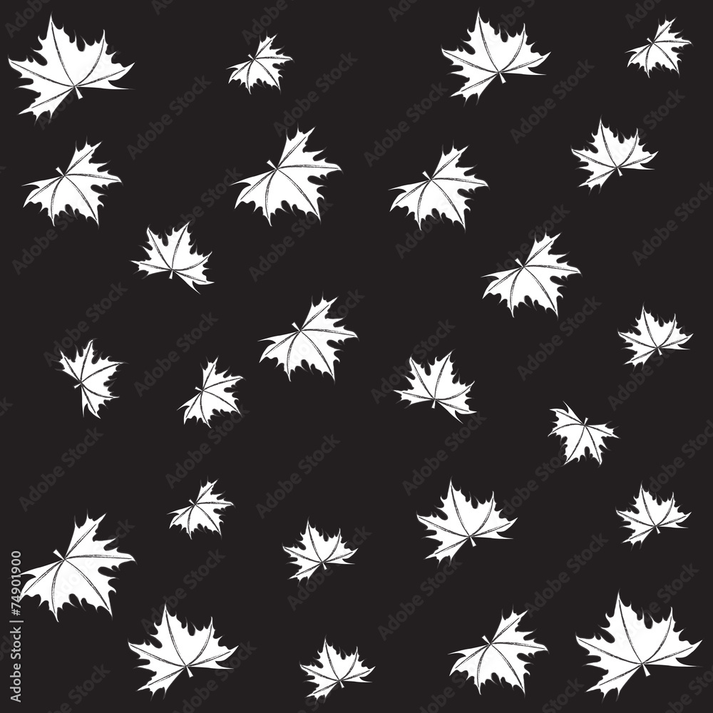 Maple leaves on a black background Maple leaves on a black background