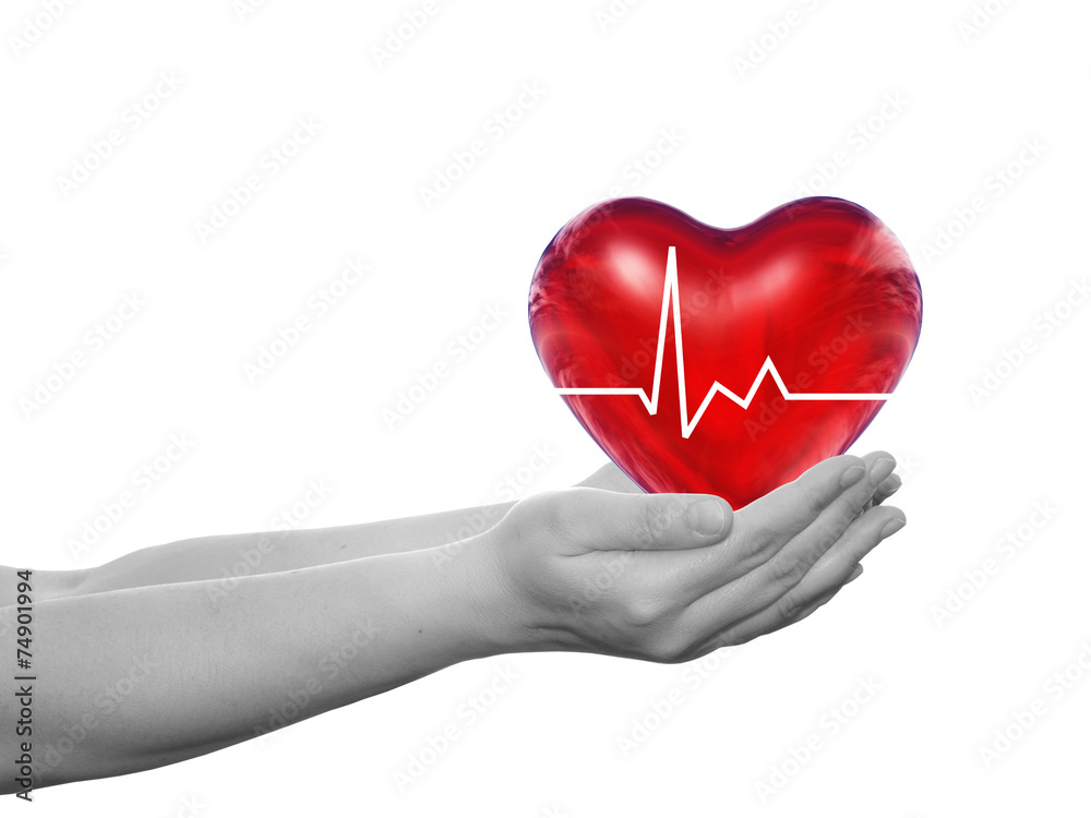 Obraz premium Human hand with heart