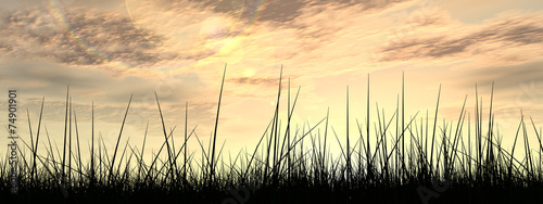 Black grass over sky sunset banner
