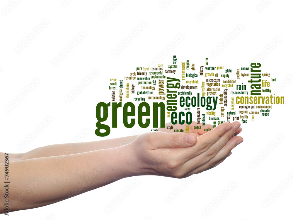 Conceptual ecology word cloud