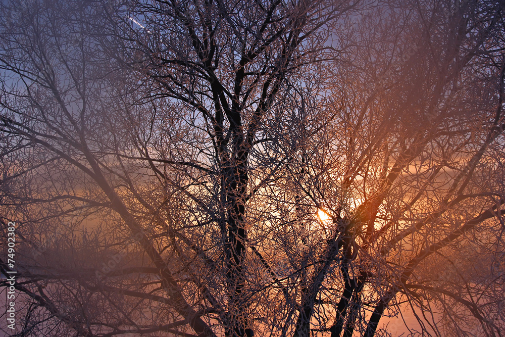 Obraz premium Закат