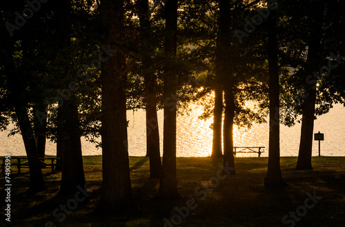 Trees along the shore of Lake Pinchot at sunset, Gifford Pinchot photo