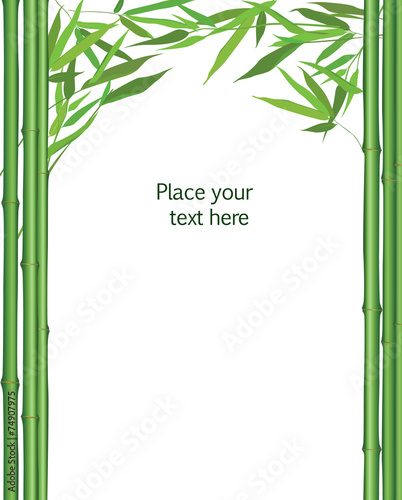 Floral background. Bamboo frame with leaves isolated