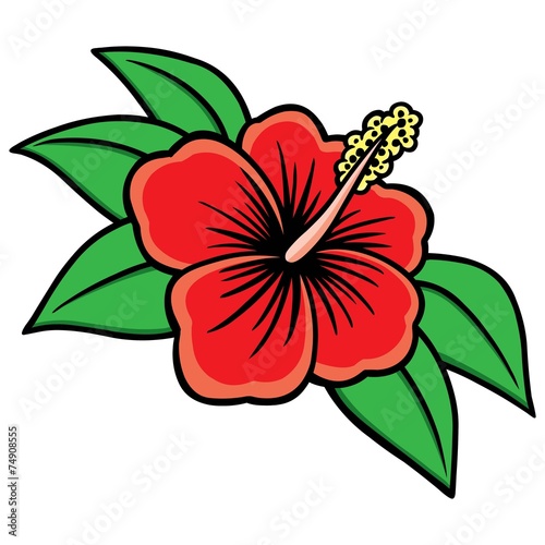 Hibiscus