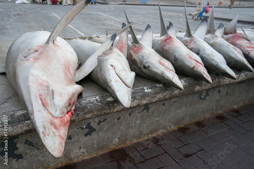 Sharks in the market