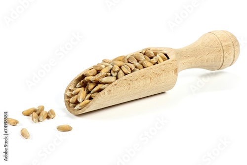 Weizenkörner in einer Holzschippe isoliert auf weißem Hintergrund
