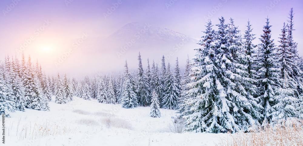 Obraz premium magical winter snow covered tree