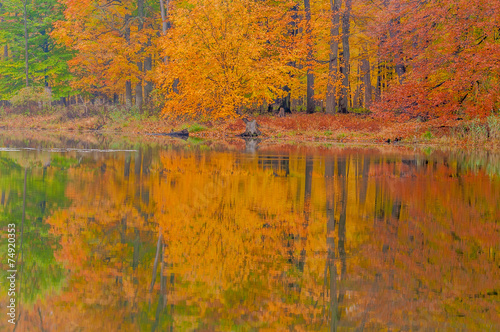 Autumn Lake