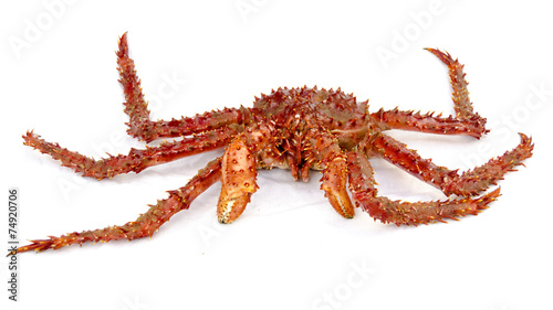 centolla king crab