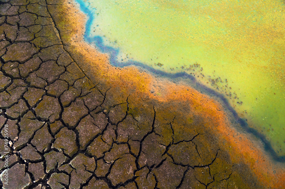Polluted water and cracked soil during drought - obrazy, fototapety, plakaty 