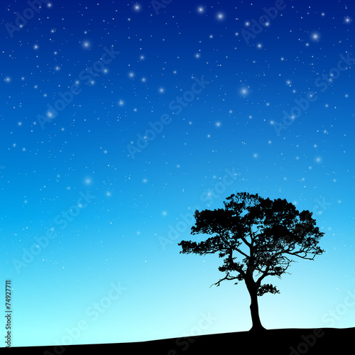 Tree with Night Sky © Binkski