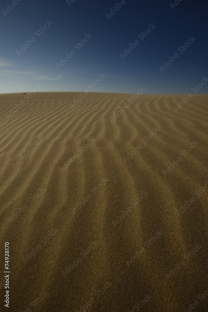 Fototapeta premium Sand dunes