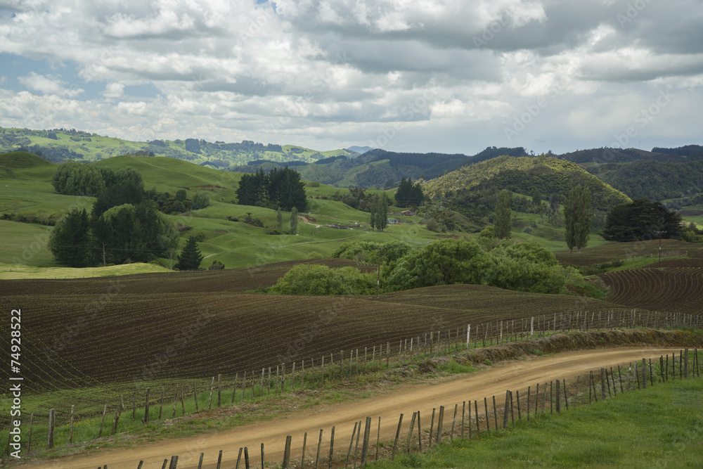 Farmlands. New Zealand
