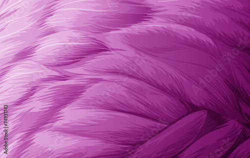 A soft feathered texture
