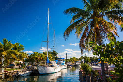 Boats and palm trees at a marina in Marathon, Florida.