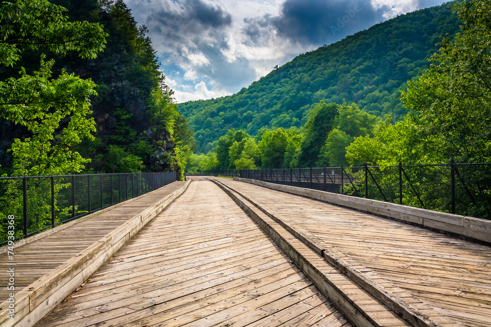 Bridge and mountains in Lehigh Gorge State Park, Pennsylvania. Bridge and mountains in Lehigh Gorge State Park, Pennsylvania.