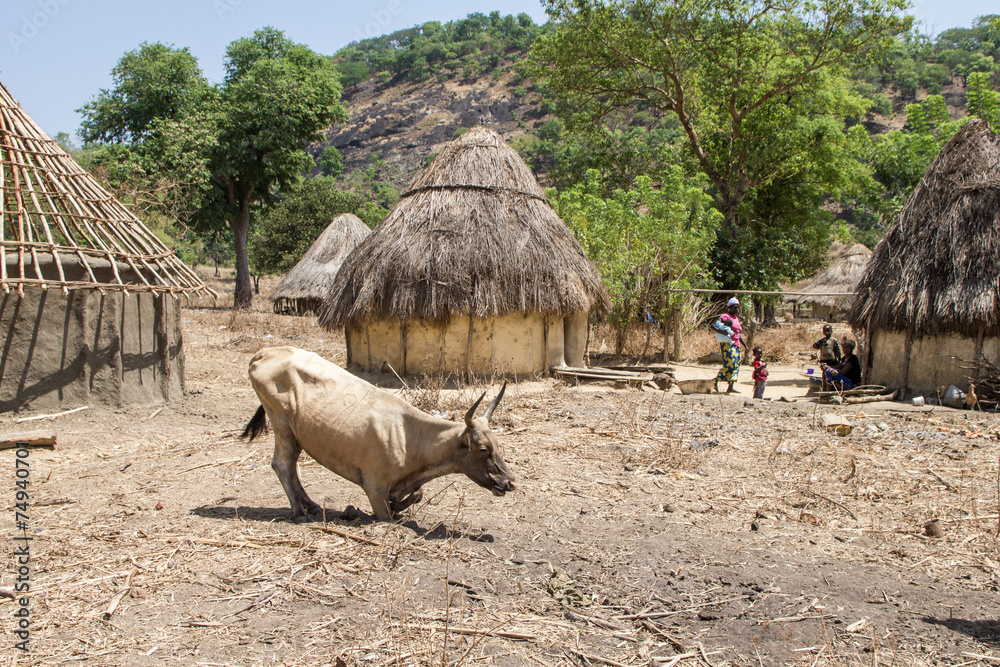Fototapeta premium Guinea