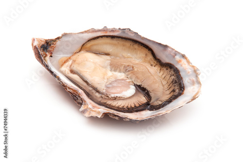 Raw oyster isolated on a white studio background.
