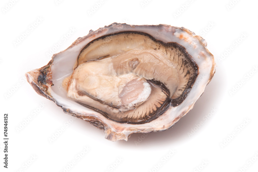 Raw oyster isolated on a white studio background. Raw oyster isolated on a white studio background.