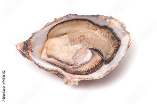 Raw oyster isolated on a white studio background.