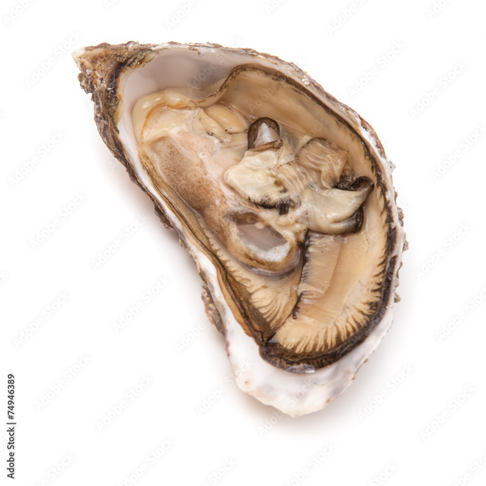 Raw oyster isolated on a white studio background. Raw oyster isolated on a white studio background.