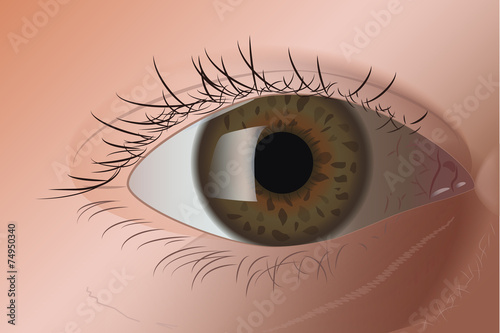 Realistic Green Eye