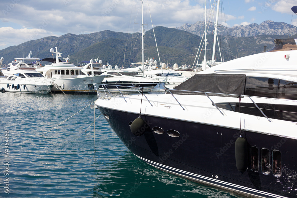 Fototapeta premium luxury marina