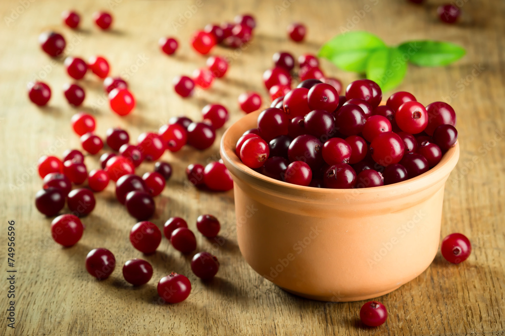 Cranberries Cranberries