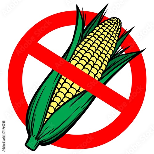 No High Fructose Corn Syrup