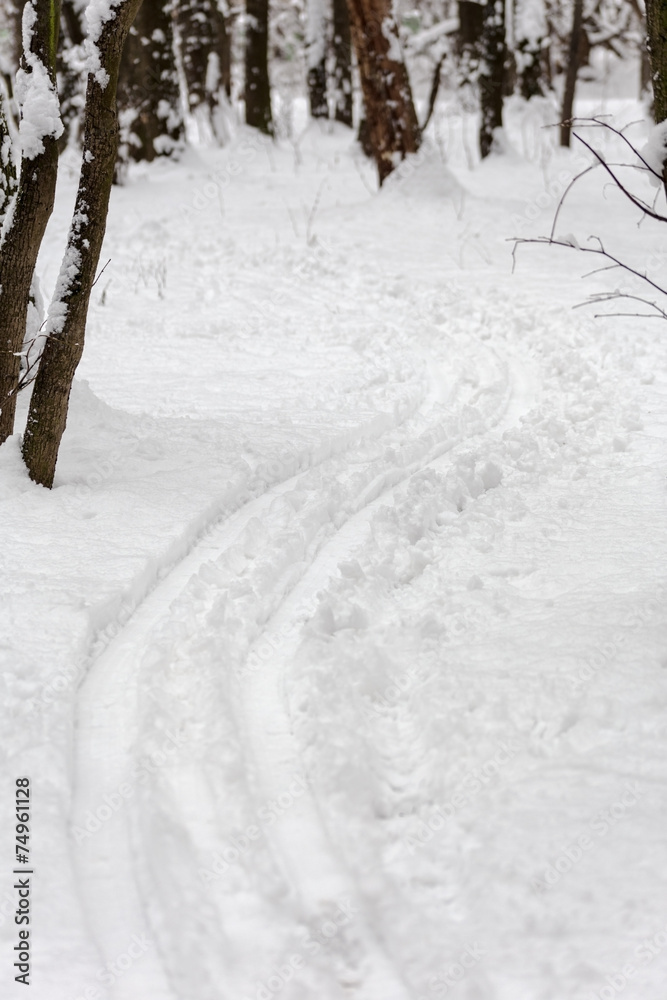 Obraz premium Ski run