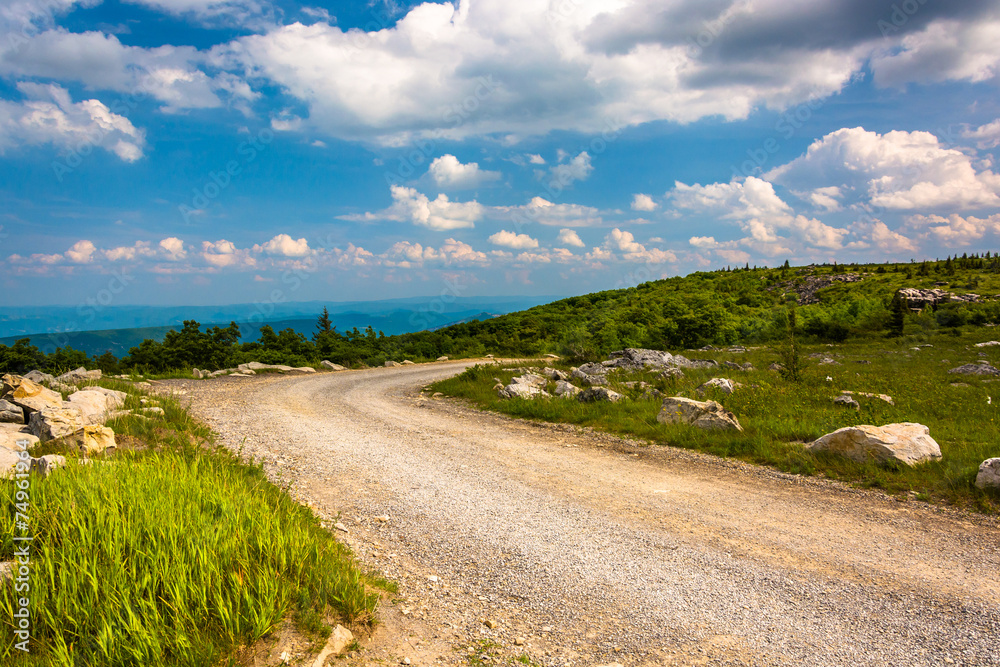 Forest Road 75 at Bear Rocks Preserve, in Dolly Sods Wilderness,