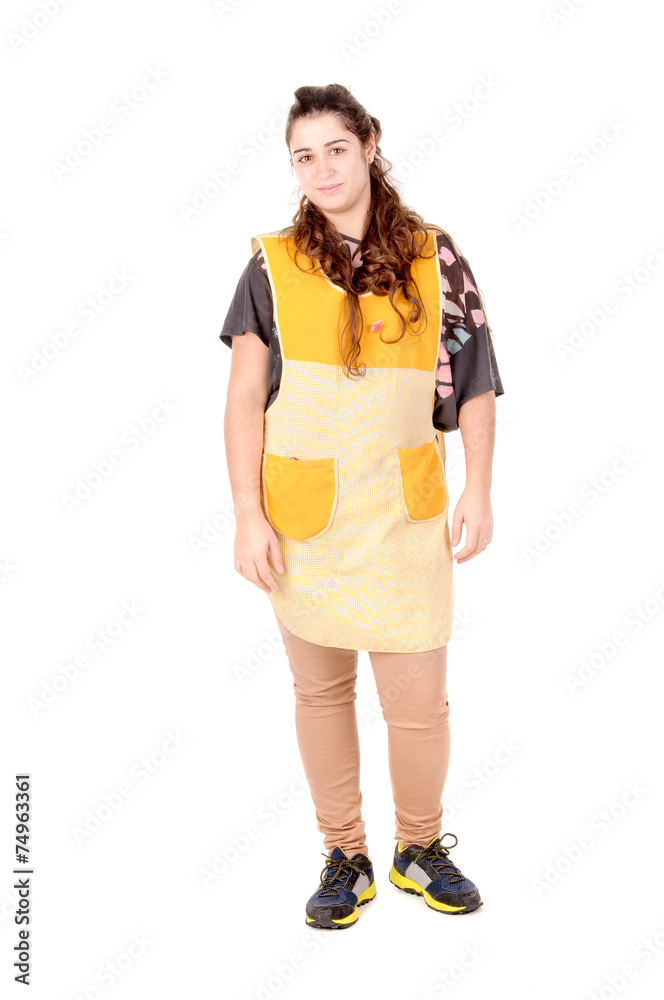 cleaning lady cleaning lady