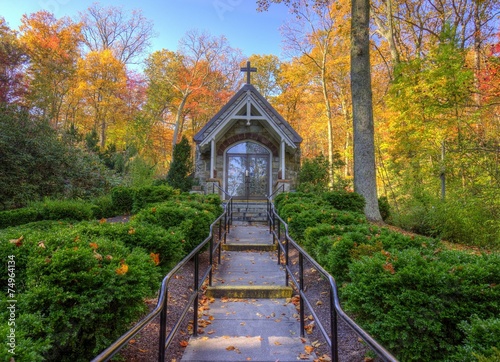 Church in the woods photo
