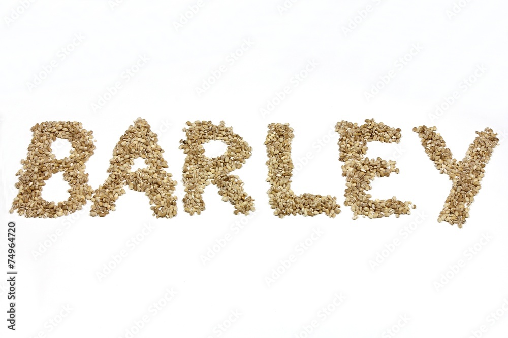 BARLEY geschrieben mit Gerstenkörnern auf weißem Hintergrund BARLEY geschrieben mit Gerstenkörnern auf weißem Hintergrund