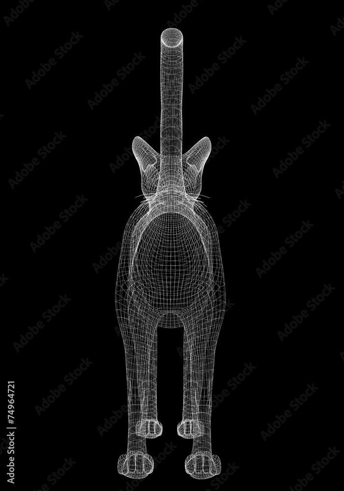 Fototapeta premium cat model
